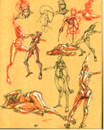 Figure Drawings